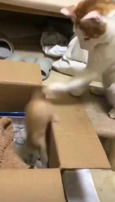 Practicing on your own kids smh