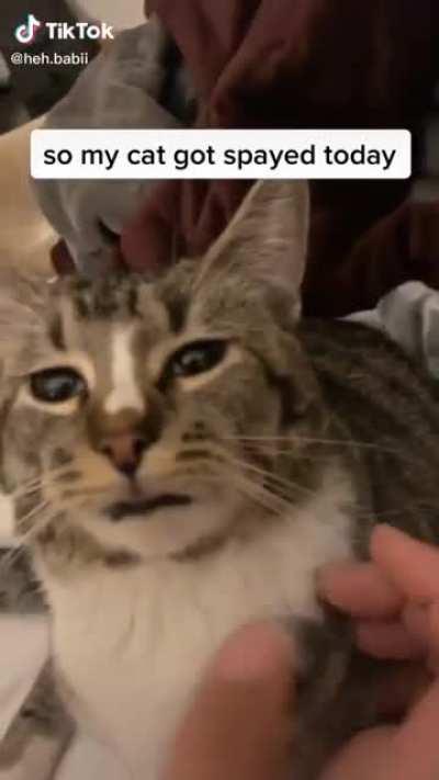 In another dimension