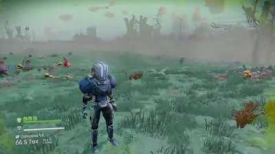 What a peaceful planet