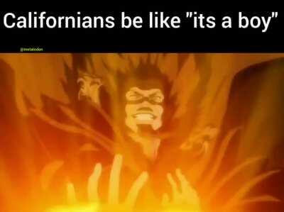 Why cant we just make a cake?