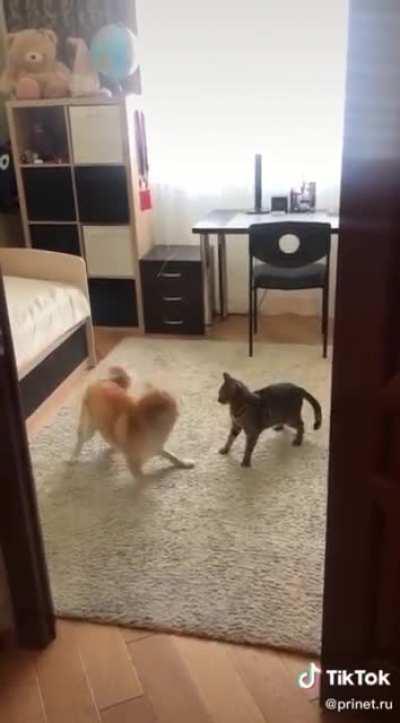 unique playing style!!