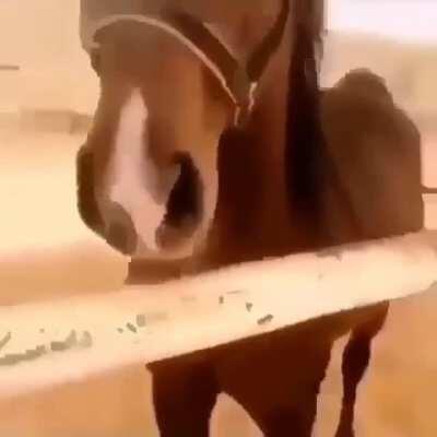 SquarePosting - Video #7929