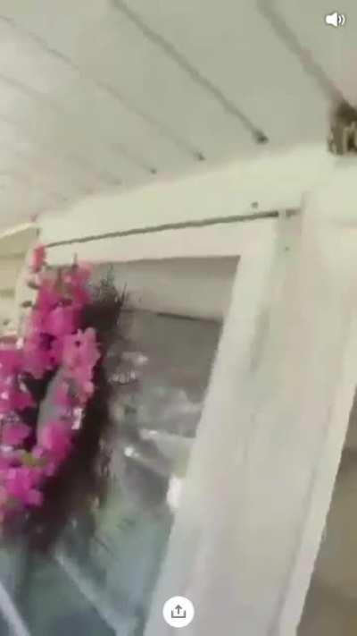 Psycho is pissed at ex wife? Destroys wasps to prove his manliness