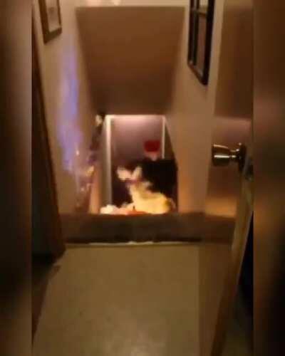 Homemade fire toboggan down the stairs