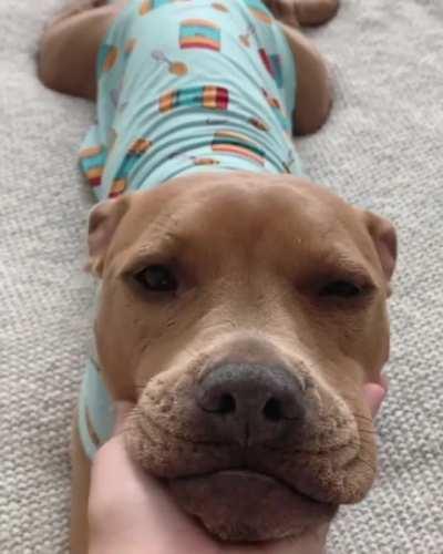 Wesley Heard You Needed Something To Brighten Your Day...