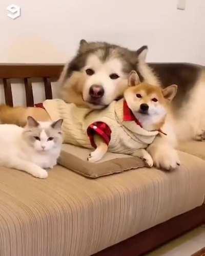 When I grow up, you'll pay for this