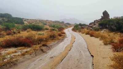 Rain - From DONDA: With Child