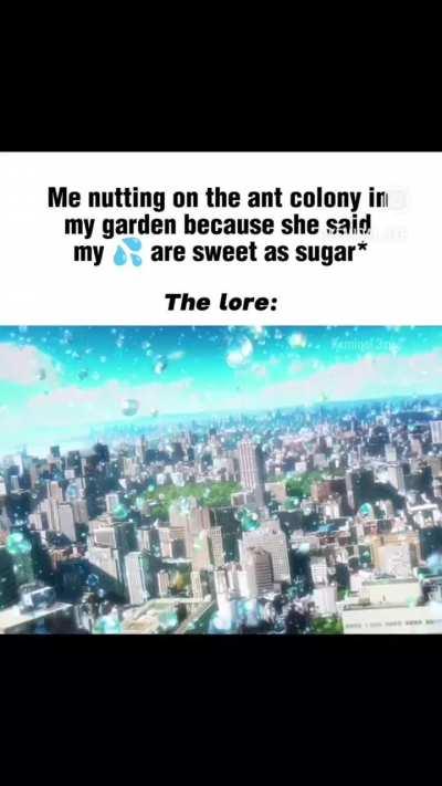 Hey what anime is this(ignore the caption)