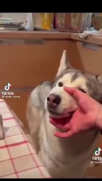 Found this on tik tok 😭