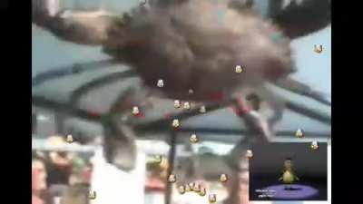 I made this a year ago