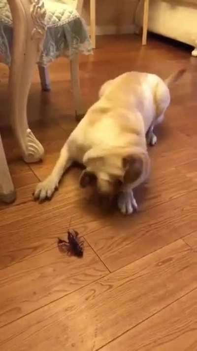 Courageous but not reckless ...