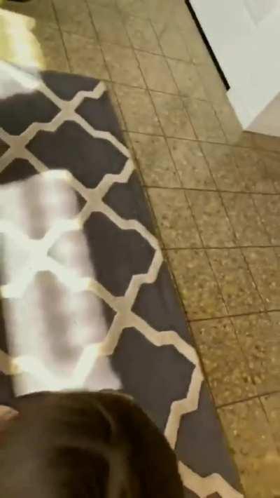 Violet gets her reward