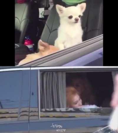 Morning People VS Me