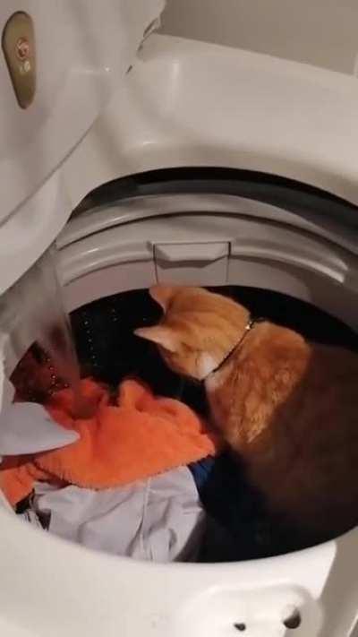 I don't think that goes there