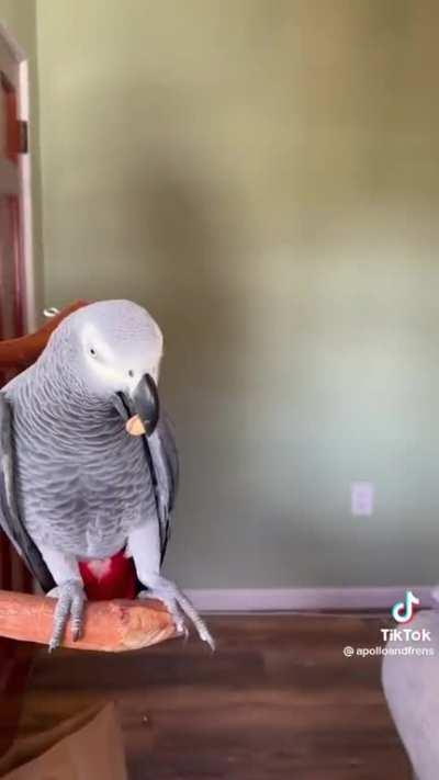 8 min of Apollo identifying objects