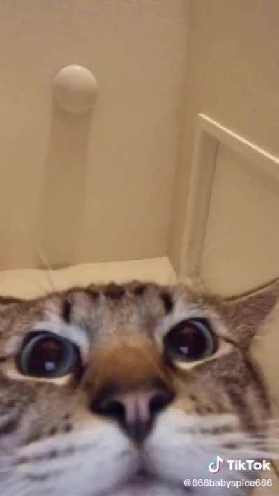 Should we start a search party?