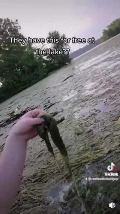 Don't worry guys, he's immune to parasites, tapeworms and brain eating amoeba :)