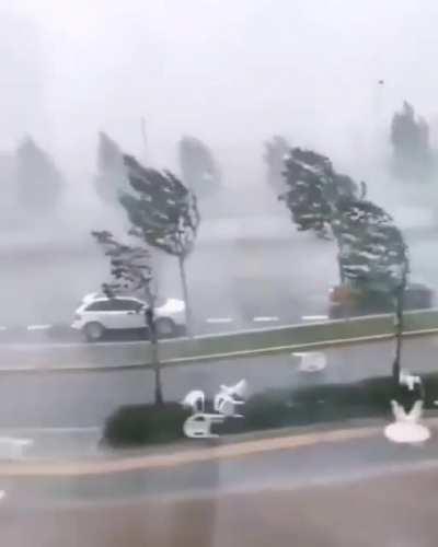 I'm fucking confused.