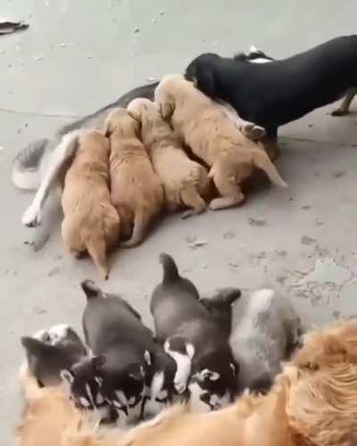 I think there is something wrong here