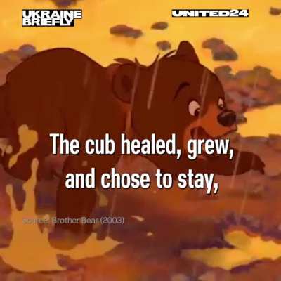 Not only people, but also animals are losing their homes because of the war