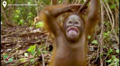 watch this boy throw a stick