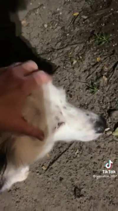 En chiapas o guerrero lo hubieran matado por estar 