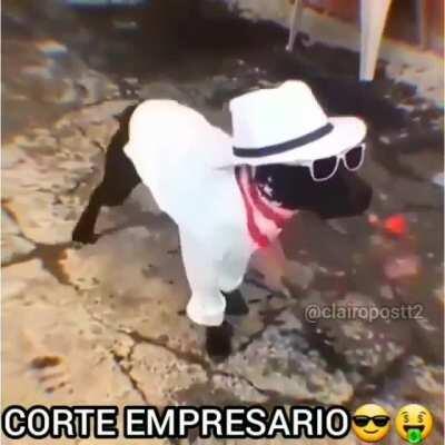 CORTE EMPRESARIO😎🤑
