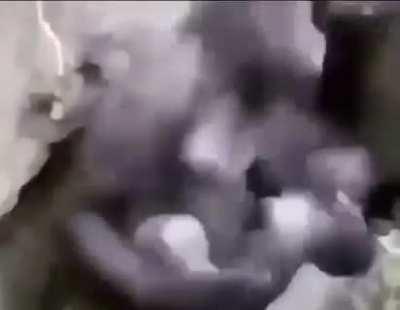 POV: You get the New LF Goku and Vegeta