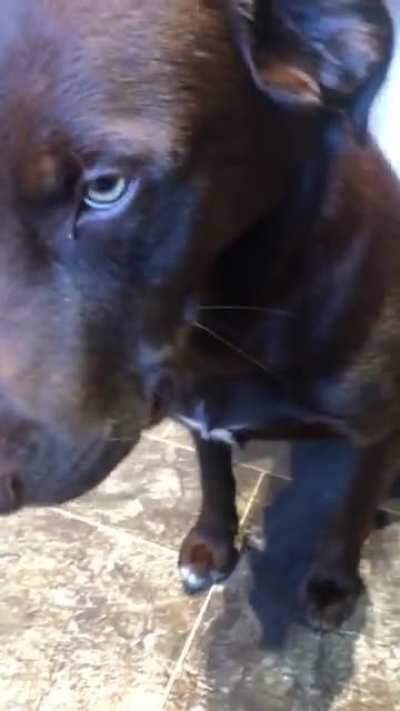 I took nothing.. Also it’s not a cherry tomato in my mouth, leave me alone 👀