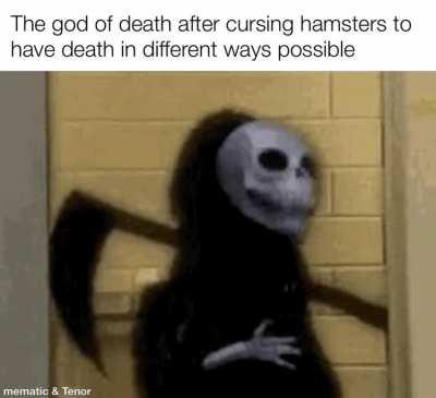 My hamster died from getting stuck at their cage