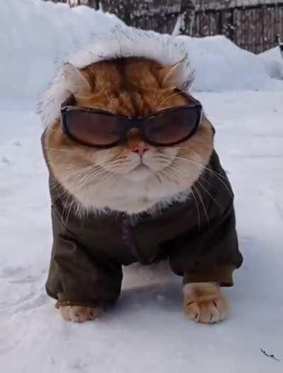 that feeling when you are the trendiest on a walk