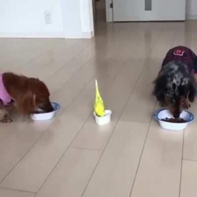 Just in time for lunch with friends