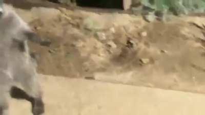 Uh oh! We’re caught?