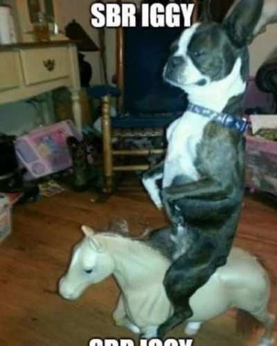 A shitpost I made, full version on YouTube:  