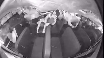 School Bus involved in rollover, crashes through the guardrail and then plunges down a ravine