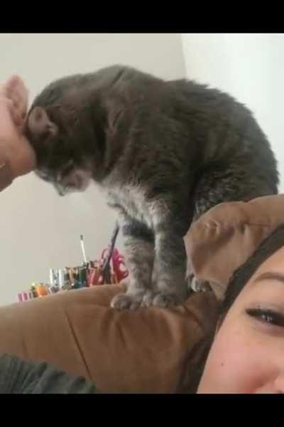 How to ask for pets!