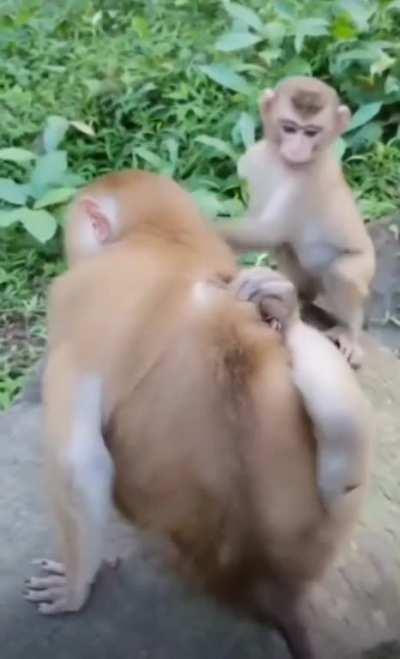 Genuinely human reaction