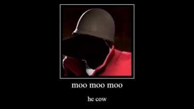 moo