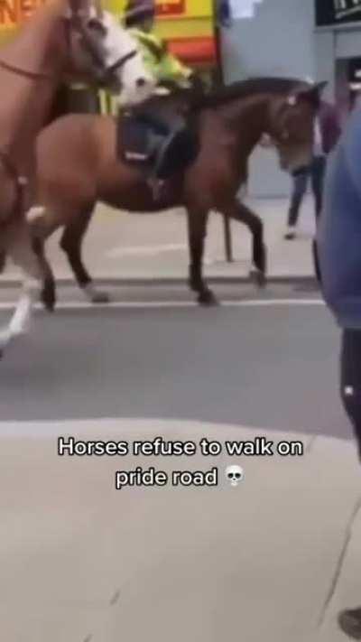 forsenBased HOLY (monkaE)