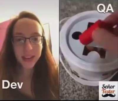 QA vs Dev