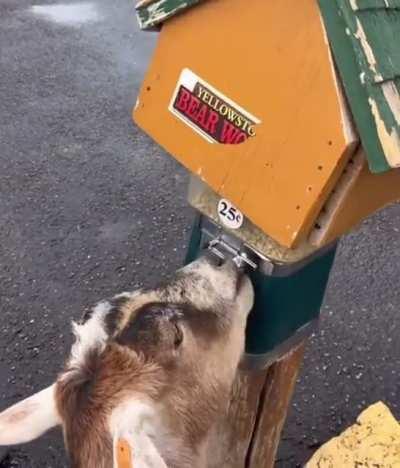 Lend me a quarter, bro.