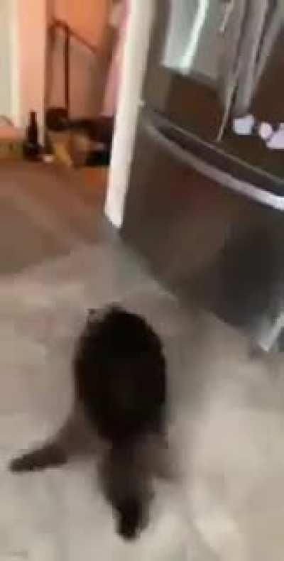 КОТийский дрифт