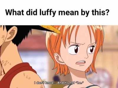 What did luffy mean by this?