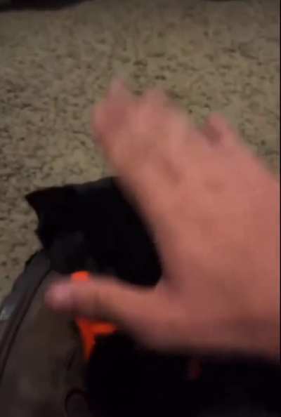 I have a gun and I must shoot myself