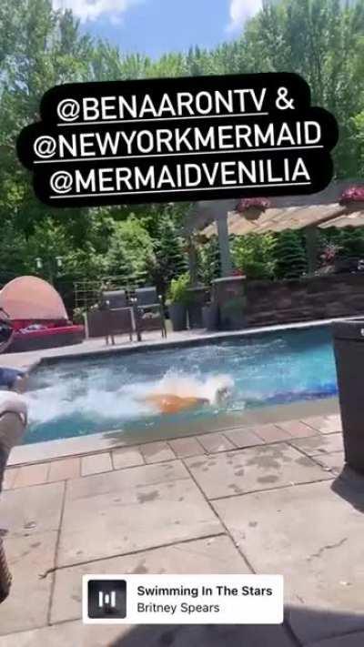 Ginger by the pool...