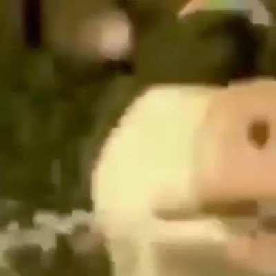 Found two videos and decided to put them together