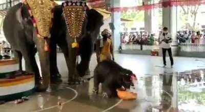 baby Shivani at her naming ceremony; Manjunatha Temple, Karnataka