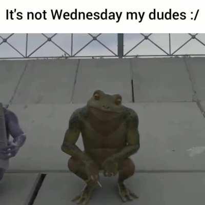 Thanks, I hate these frog men