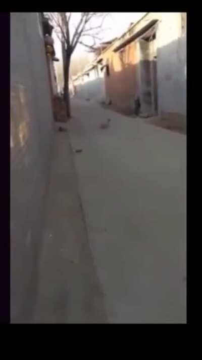 friends always rushing to the rescue...