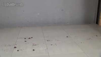 010_Marina Snail Crush